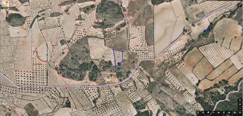 EN VENTA TERRENO RUSTICO CON ALMENDROS EN PRODUCCION photo 0