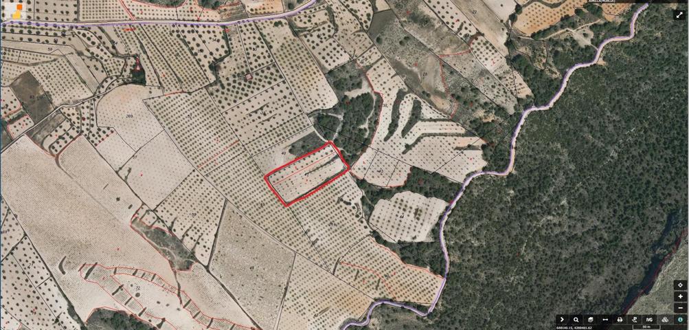 SE VENDE O SE ALQUILA TERRENO RUSTICO CON ALMENDROS EN PRODUCCION 7.263 m2 photo 0