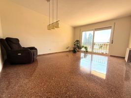 Planta baja con mucha luz photo 0
