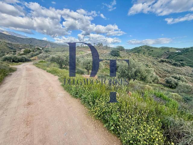 Parcela rústica entre Sedella y Canillas de Aceituno photo 0