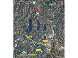 ¡Oportunidad única! Parcela de 13.000 m² TOTALMENTE VALLADA con gran potencial agrícola y de inversión ubicada en zona ' photo 0
