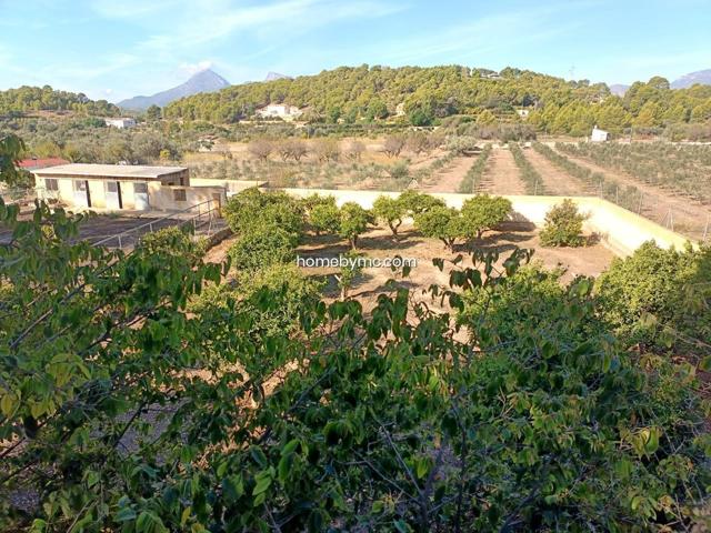 PARCELA RUSTICA EN ALTEA CON EDIFICACION photo 0