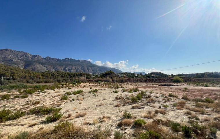 Impresionante finca de 60.000 m² con increíbles posibilidades para desarrollo en entorno tranquilo photo 0