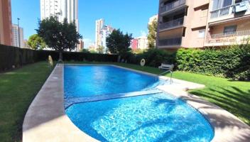 Amplio Apartamento en Venta en Benidorm, Zona Juzgados photo 0