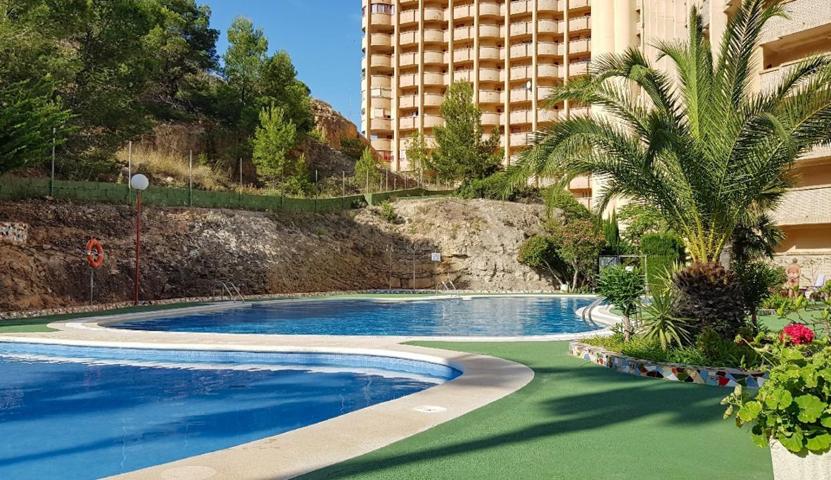 Apartamento reformado con licencia turística en Benidorm photo 0