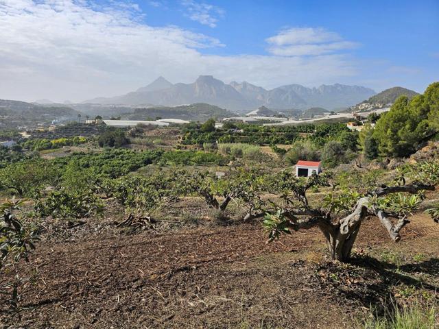 🌿 Terreno Rústico con Árboles Frutales y Casita Restaurada – Callosa d’en Sarrià photo 0