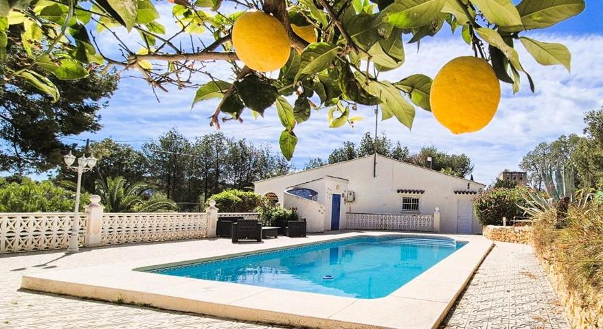 Exclusiva villa en una planta con gran parcela y privacidad en Alfaz del Pi photo 0