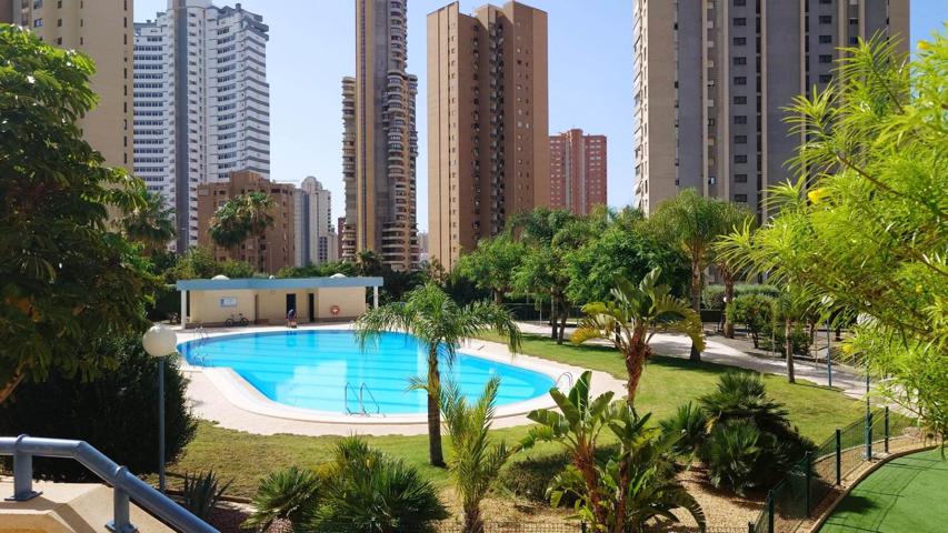 🏙️ Apartamento con vistas espectaculares en planta 19 – Benidorm photo 0