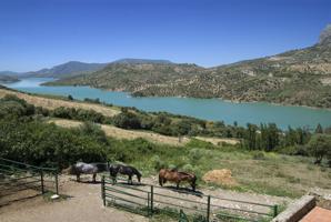 Casa de campo-Masía en Venta en Montecorto Málaga photo 0