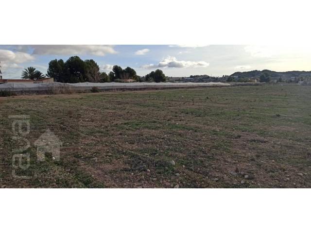 Terreno Urbanizable En venta en Aspe photo 0
