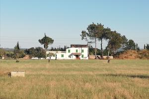 FINCA RUSTICA EN BINISSALEM photo 0