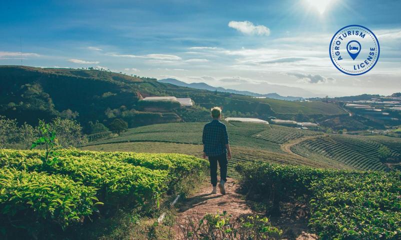 OPORTUNIDAD DE INVERSIÓN: ESPECTACULAR FINCA DE AGROTURISMO EN IBIZA photo 0