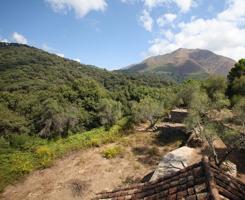 Terreno Urbanizable En alquiler en Casares photo 0