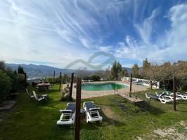 Local En venta en El Gastor photo 0