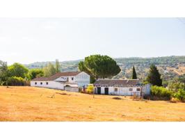 Granja En venta en Ronda photo 0