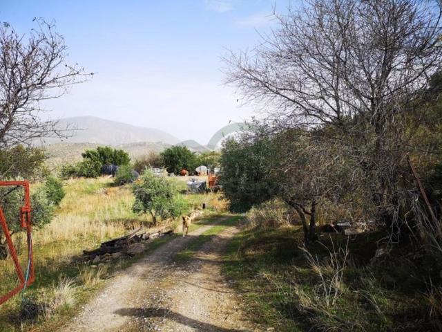 Piso En venta en Zahara photo 0