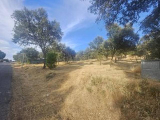 ¡Descubre la oportunidad de tu vida con este espectacular terreno en venta! photo 0