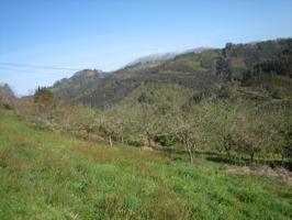 Otro En venta en C- Breceña, Villaviciosa photo 0