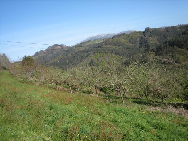 Otro En venta en C- Breceña, Villaviciosa photo 0