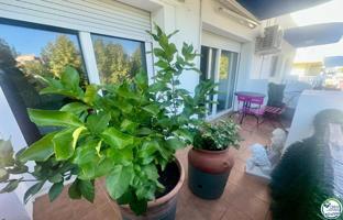 Amplio apartamento cerca de la playa y los comercios photo 0