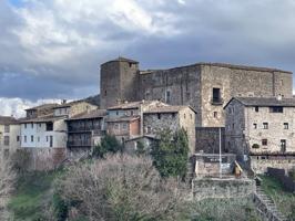 Venta de casa adosada en Santa Pau photo 0