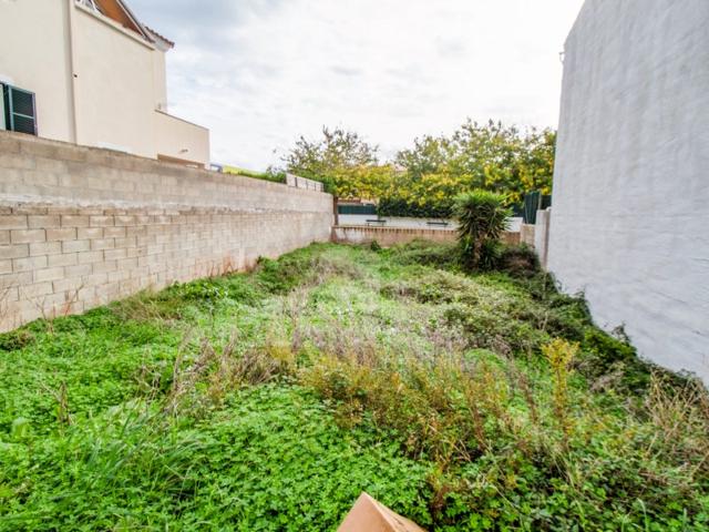 Terreno Urbanizable En venta en Alaior photo 0