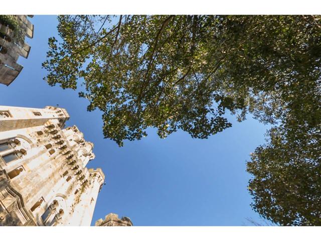 Lote de 14 Terrenos Rústicos en Gatika, muy próximos al Castillo de Butrón photo 0