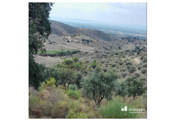 Terreno de cultivo con 200 olivares y dos pozos photo 0