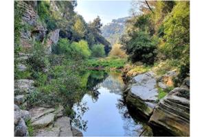 TERRENO ALQUILER OP COMPRA 3HC. CON VISTAS photo 0