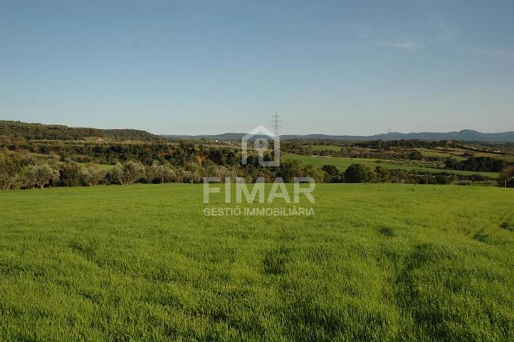 Terreno en venta en Cànoves i Samalús de 56000 m2 photo 0