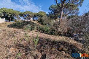 Terreno en Dosrius photo 0