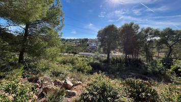 Terrenos Edificables En venta en Alberic photo 0