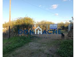 TERRERNO EN CARRETERA DE VALVERDE DE MÉRIDA. 200 OLIVOS photo 0