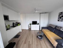 APPARTAMENT RENOVÉ AVEC LICENCE TURISTIQUE ET PARQUING photo 0
