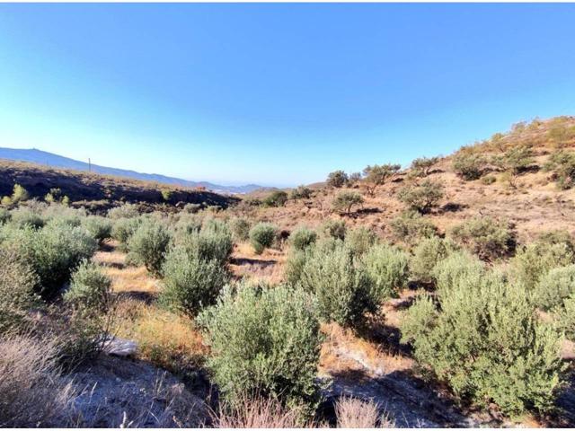 Terreno en venta en Vélez de Benaudalla photo 0