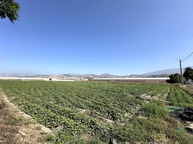 Finca en baldío en Motril, zona Puntalón. photo 0