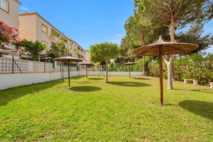 APARTAMENTO DE 2 DORMITORIOS 1 BAÑO EN PARQUE AROMATICO TORREVIEJA (ALICANTE) photo 0