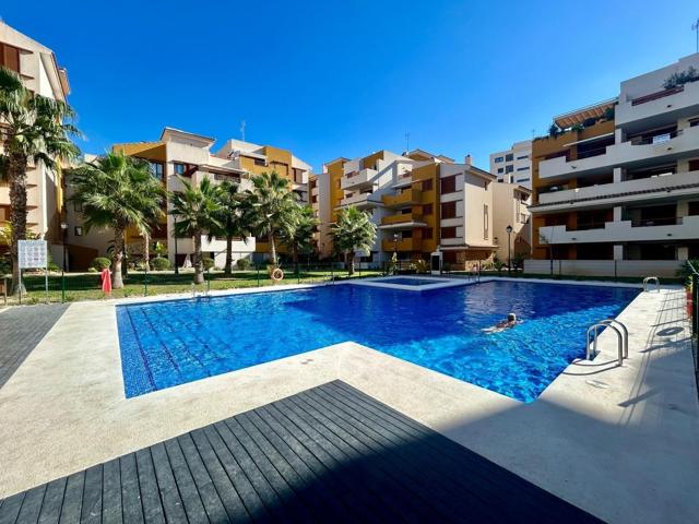 PISO DE 3 DORMITORIOS 2 BAÑOS EN PUNTA PRIMA ( LA RECOLETA ) ORIHUELA COSTA photo 0