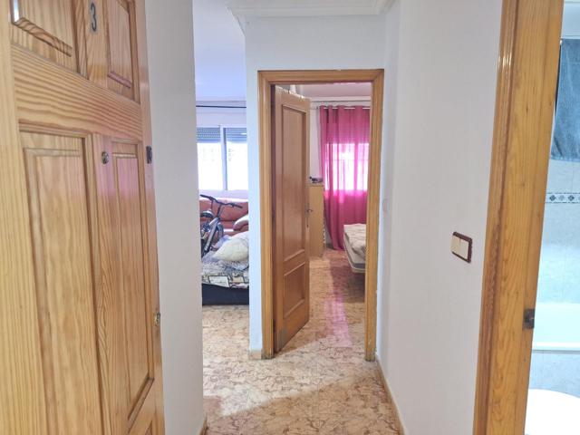 APARTAMENTO DE 1 DORMITORIO 1 BAÑO EN TORREVIEJA  CERCA DEL MAR photo 0