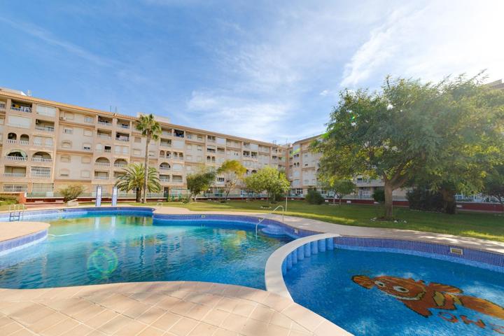 APARTAMENTO DE 2 DORMITORIOS CON PISCINA COMUNITARIA EN TORREVIEJA (ALICANTE) photo 0