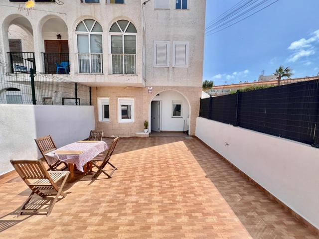 BUNGALOW PLANTA BAJA DE 1 DORMITORIO 1 BAÑO EN TORREVIEJA ( ALICANTE ) photo 0