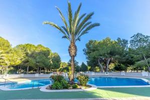 APARTAMENTO DE 2 DORMITORIOS 1 BAÑO EN CAMPOAMOR ( ORIHUELA COSTA ) photo 0