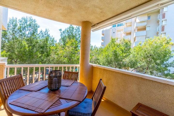 APARTAMENTO DE 2 DORMITORIOS 1 BAÑO EN CAMPOAMOR (ORIHUELA COSTA) photo 0