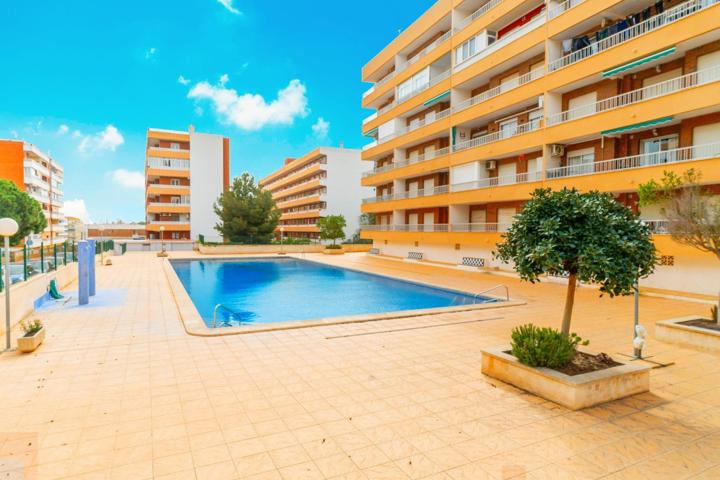 APARTAMENTO DE 2 DORMITORIOS 1 BAÑO EN PUNTA PRIMA ( ORIHUELA COSTA ) photo 0