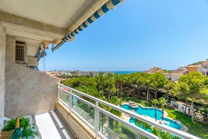 Apartamento de 2 dormitorios 1 baño a Pocos Pasos de la Playa en Dehesa de Campoamor (Orihuela Costa) photo 0