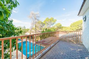 Chalet independiente en Pilar de la Horadada ( Alicante ) photo 0