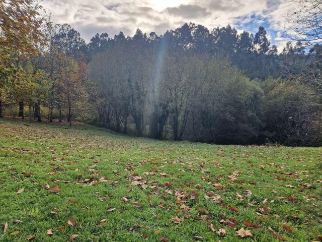 Terreno Urbanizable En venta en Padrón photo 0