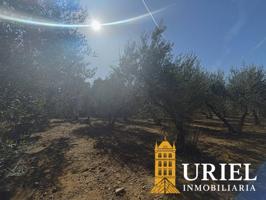 Parcela Exclusiva con Carácter Rústico y Seguridad Urbana en La Celada (Carmona) photo 0