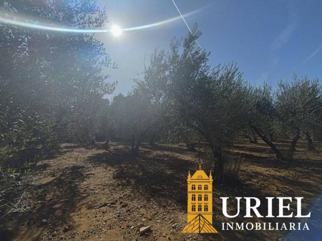 Parcela Exclusiva con Carácter Rústico y Seguridad Urbana en La Celada (Carmona) photo 0