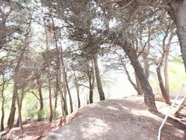 Finca rústica con vistas panorámicas en plena Sierra de las Nieves 🌿 photo 0